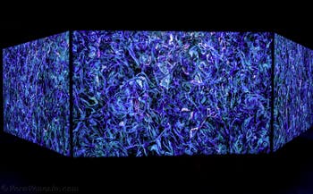 Khaled Sabsabi, Conference of one's self, Australia, Biennale d'Arte di Venezia 2026