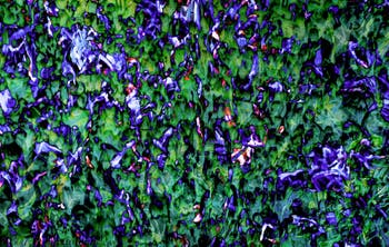 Khaled Sabsabi, Conference of one's self, Australia, Biennale d'Arte di Venezia 2026