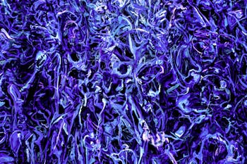 Khaled Sabsabi, Conference of one's self, Australia, Biennale d'Arte di Venezia 2026