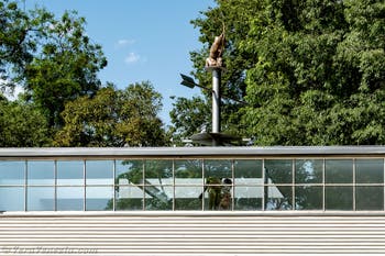 Florentina Holzinger, Seaworld Venice, Austria, Biennale d'Arte di Venezia 2026
