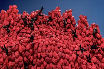 Ebony G. Patterson, Padiglione Centrale dei Giardini, Biennale d'Arte di Venezia 2026