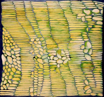 Hala Schoukair, Padiglione Centrale dei Giardini, Biennale d'Arte di Venezia 2026