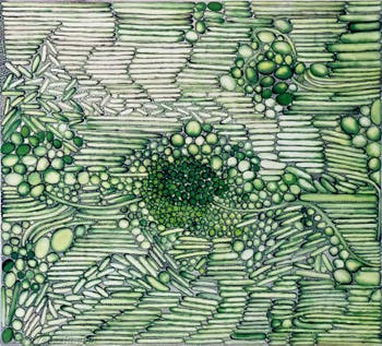 Hala Schoukair, Padiglione Centrale dei Giardini, Biennale d'Arte di Venezia 2026