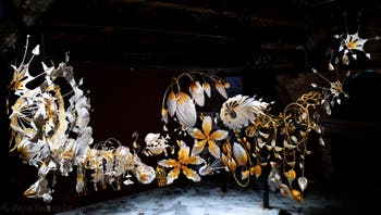 Ranjani Shettar, Under the same sky, Padiglione dell'India, Biennale di Venezia 2026