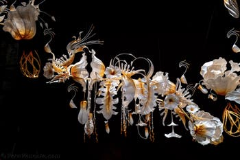 Ranjani Shettar, Under the same sky, Padiglione dell'India, Biennale di Venezia 2026