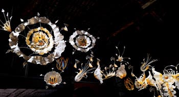 Ranjani Shettar, Under the same sky, Padiglione dell'India, Biennale di Venezia 2026