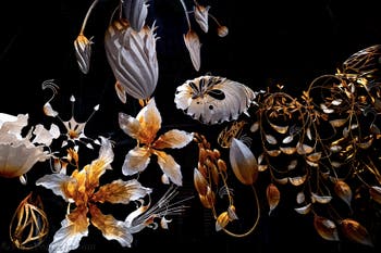 Ranjani Shettar, Under the same sky, Padiglione dell'India, Biennale di Venezia 2026