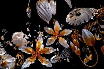 Ranjani Shettar, Under the same sky, Padiglione dell'India, Biennale di Venezia 2026