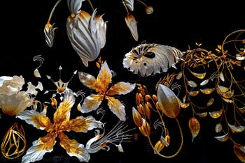 Ranjani Shettar, Under the same sky, Padiglione dell'India, Biennale di Venezia 2026