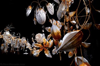 Ranjani Shettar, Under the same sky, Padiglione dell'India, Biennale di Venezia 2026