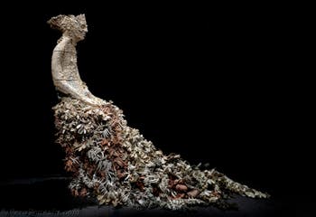 Chiara Camoni, Con te con tutto, Italia, Biennale d'arte di Venezia 2026