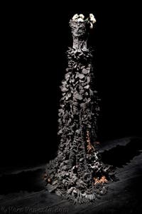 Chiara Camoni, Con te con tutto, Italia, Biennale d'arte di Venezia 2026