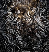 Kambui Olujimi, North Star, Padiglione Centrale dei Giardini, Biennale d'Arte di Venezia 2026