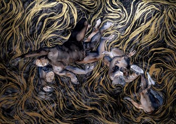 Kambui Olujimi, North Star, Padiglione Centrale dei Giardini, Biennale d'Arte di Venezia 2026
