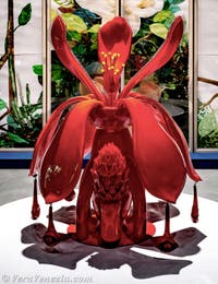 Maria Magdalena Campos-Pons, Padiglione Centrale dei Giardini, Biennale d'Arte di Venezia 2026