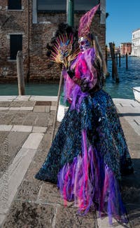 Costumi del Carnevale di Venezia davanti alla Madonna della Salute.