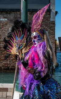 Costumi del Carnevale di Venezia davanti alla Madonna della Salute.