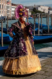 Costumi del Carnevale di Venezia davanti alla Madonna della Salute.