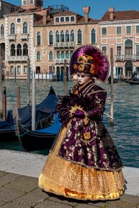 Costumi del Carnevale di Venezia davanti alla Madonna della Salute.