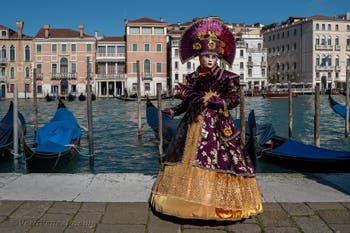 Costumi del Carnevale di Venezia davanti alla Madonna della Salute.