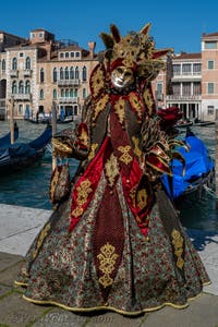 Costumi del Carnevale di Venezia davanti alla Madonna della Salute.