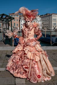 Costumi del Carnevale di Venezia davanti alla Madonna della Salute.