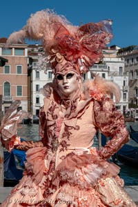 Costumi del Carnevale di Venezia davanti alla Madonna della Salute.