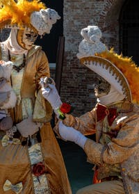 Costumi del Carnevale di Venezia davanti alla Madonna della Salute.