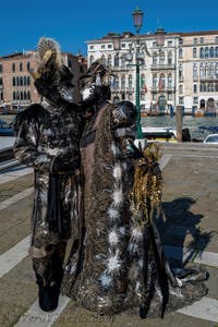 Costumi del Carnevale di Venezia davanti alla Madonna della Salute.