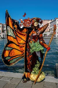 Costumi del Carnevale di Venezia davanti alla Madonna della Salute.