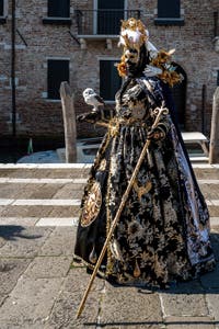 Costumi del Carnevale di Venezia davanti alla Madonna della Salute.