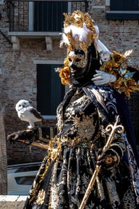 Costumi del Carnevale di Venezia davanti alla Madonna della Salute.