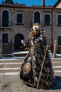 Costumi del Carnevale di Venezia davanti alla Madonna della Salute.