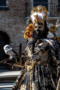 Costumi del Carnevale di Venezia davanti alla Madonna della Salute.