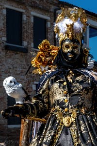 Costumi del Carnevale di Venezia davanti alla Madonna della Salute.