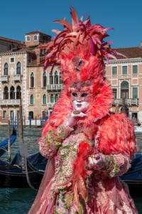 Costumi del Carnevale di Venezia davanti alla Madonna della Salute.