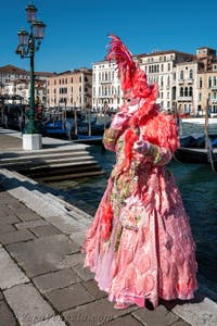 Costumi del Carnevale di Venezia davanti alla Madonna della Salute.