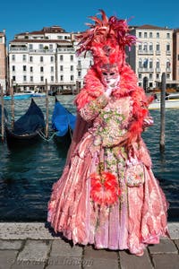 Costumi del Carnevale di Venezia davanti alla Madonna della Salute.