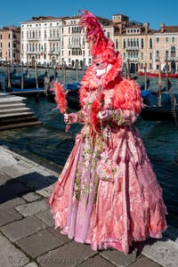 Costumi del Carnevale di Venezia davanti alla Madonna della Salute.