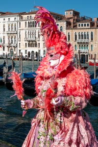 Costumi del Carnevale di Venezia davanti alla Madonna della Salute.