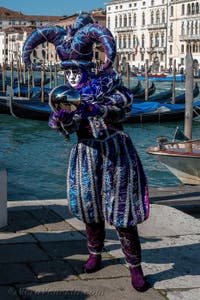 Costumi del Carnevale di Venezia davanti alla Madonna della Salute.