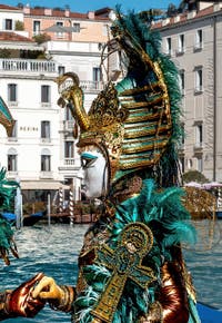 Costumi del Carnevale di Venezia davanti alla Madonna della Salute.