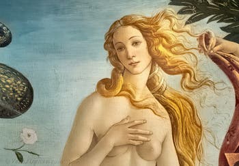 Sandro Botticelli, La nascita di Venere, 1484, Galleria degli Uffizi, Firenze, Italia