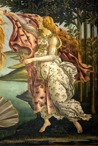 Sandro Botticelli, La nascita di Venere, Galleria degli Uffizi, Firenze, Italia