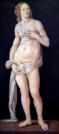Lorenzo di Credi, Venere, 1490, alla Galleria degli Uffizi, Firenze, Italia