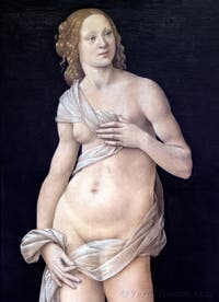 Lorenzo di Credi, Venere, 1490, alla Galleria degli Uffizi, Firenze, Italia