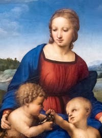 Raffaello, La Madonna del cardellino, Galleria degli Uffizi a Firenze, Italia