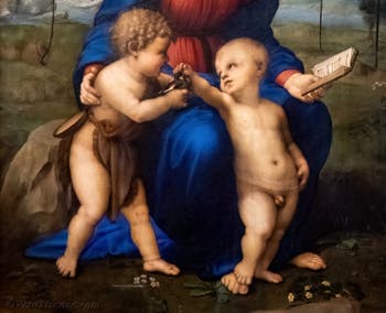 Raffaello, La Madonna del cardellino, Galleria degli Uffizi a Firenze, Italia