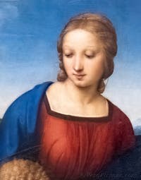 Raffaello, La Madonna del cardellino, Galleria degli Uffizi a Firenze, Italia