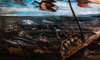 Tintoretto, La creazione degli animali, alle Gallerie dell'Accademia di Venezia, in Italia